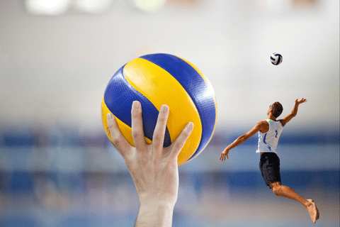Volley Ball - Ecodventure