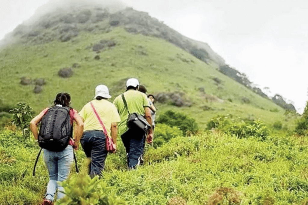 Trekking